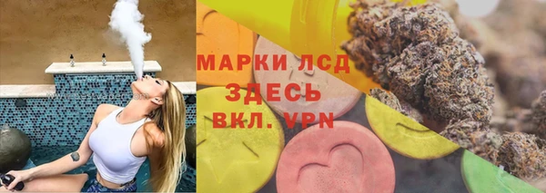 спайс Корсаков