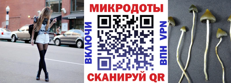 Галлюциногенные грибы Psilocybe  Ладушкин 